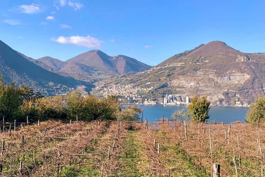 Giornata per gruppi: in cantina di Franciacorta e sul lago d’Iseo con pranzo a Monteisola