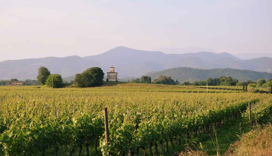 Franciacorta