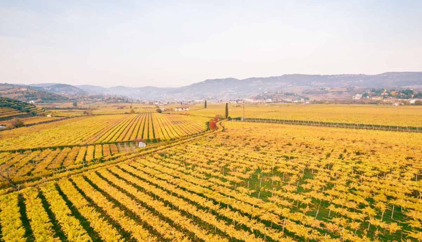 Valpolicella & Soave