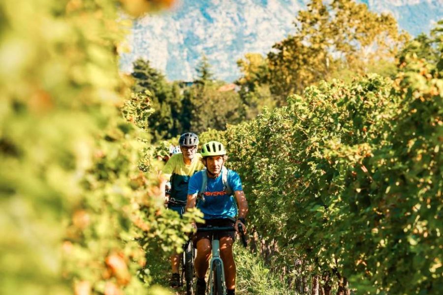 E-bike tour privato in Franciacorta