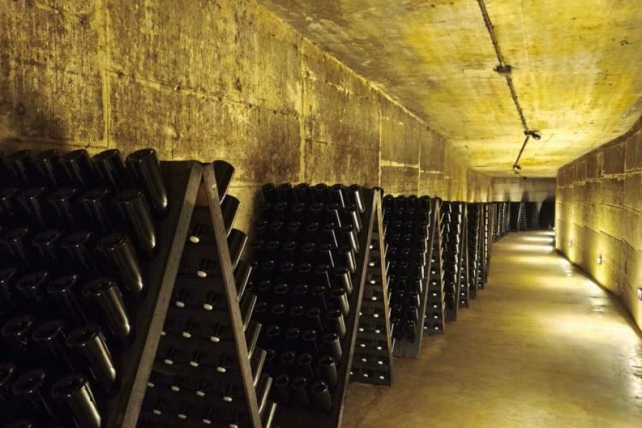 Franciacorta wine tour privato da Milano