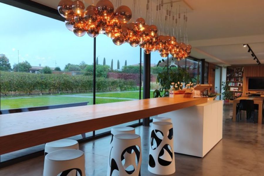 Lugana & Valenesi Wine Tour from Salò